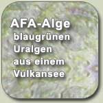 AFA-Alge