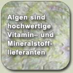 Algen sind Vitamin und Mineralstofflieferanten