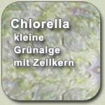 Chlorella Grünalge