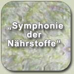 Symphonie der Nährstoffe